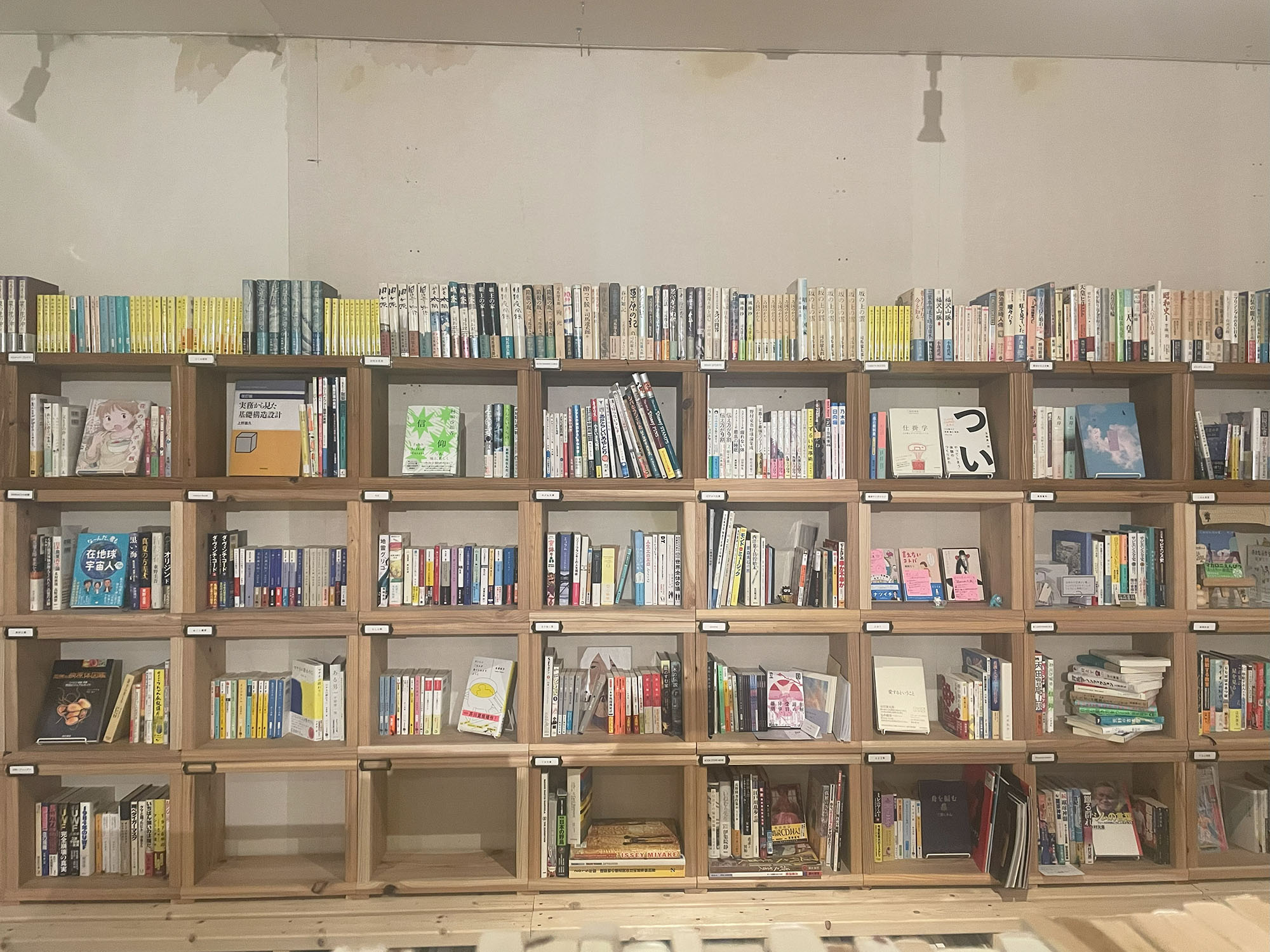 こちらが貸本棚です！