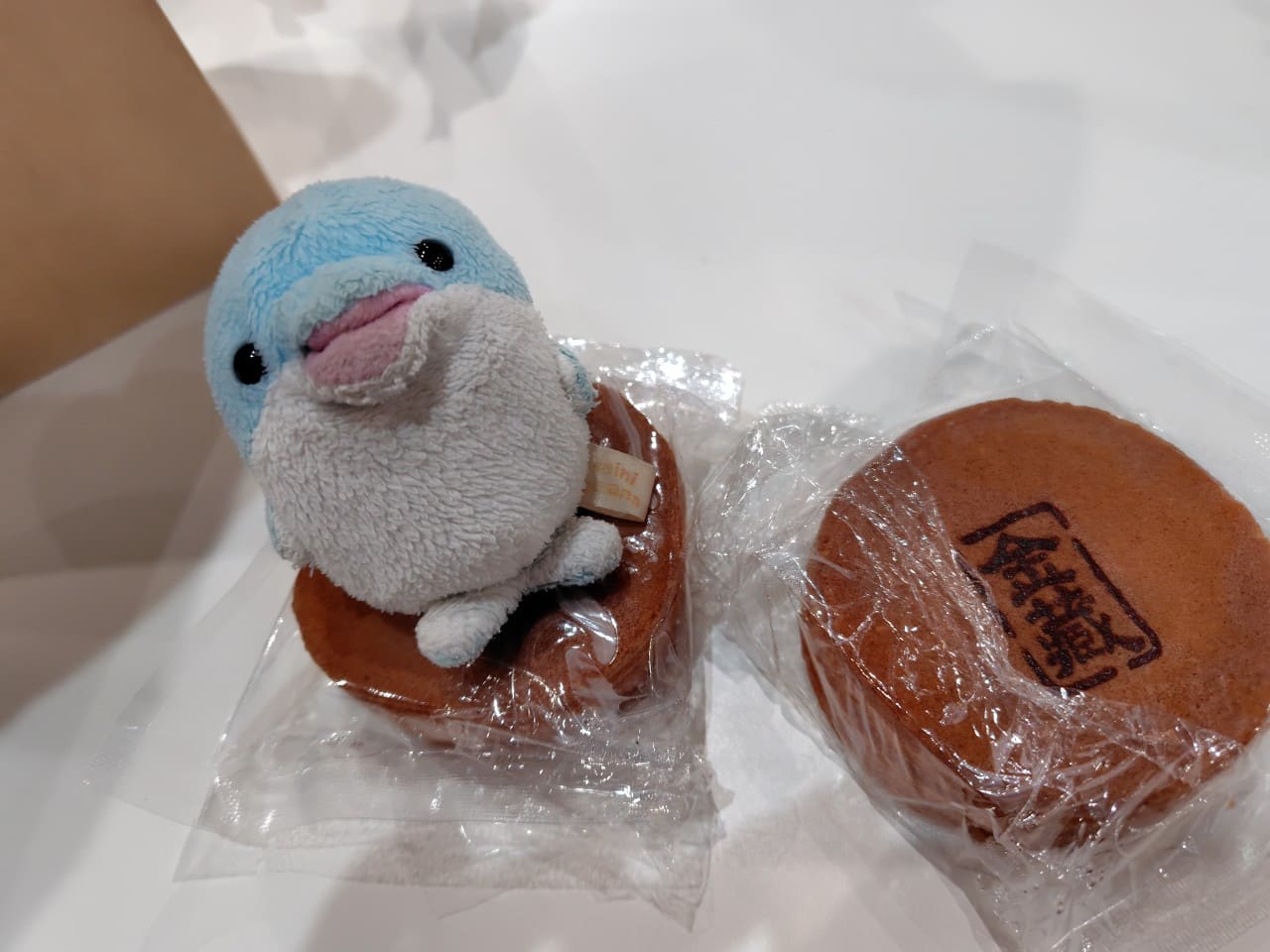 このイルカくんも食べたいって言ってます🐬